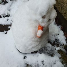George's snowman