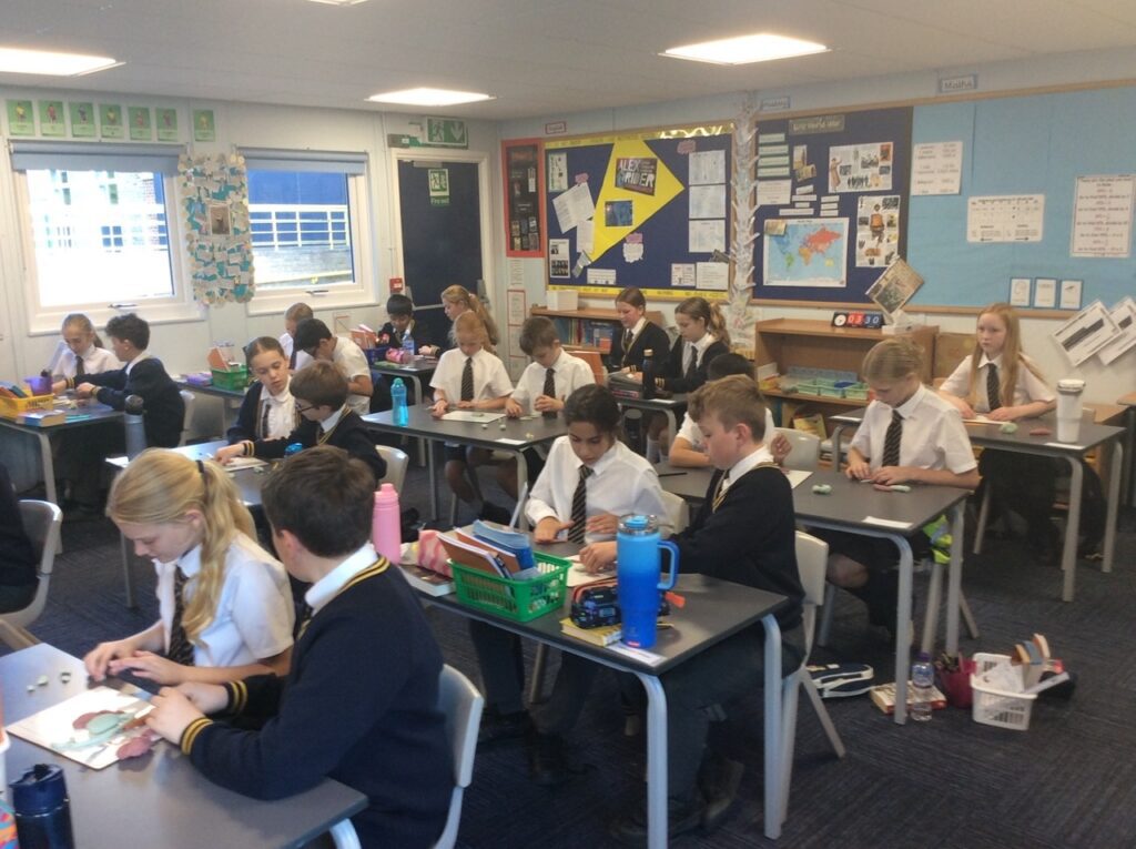 6C Science- heart sculpting